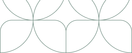 background da seção